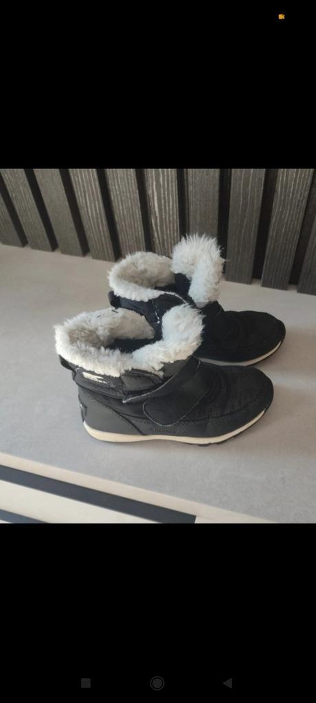 Snehule sorel, sorel,28