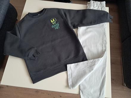 Mikina lebka zn. zara v.11r, zara,152