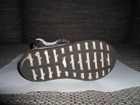 Poltopanky, lasocki,26