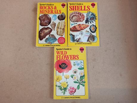 Anglicke citanie do knihobudky - chapter books, 