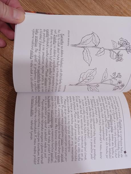 Kniha zálesácke dni dnes, 