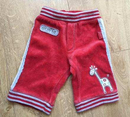 Teplaky, pumpkin patch,56