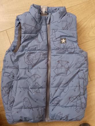 Vesta, 98