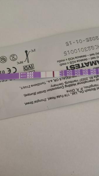 Aký je váš názor na tehotenský test?