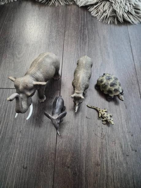 Africke zvieratka, 