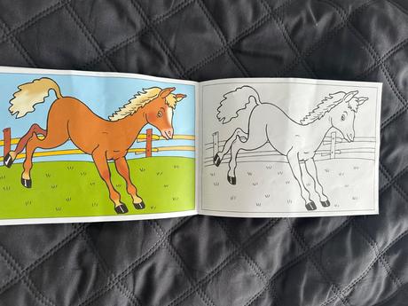 Omaľovánka mláďatká, 