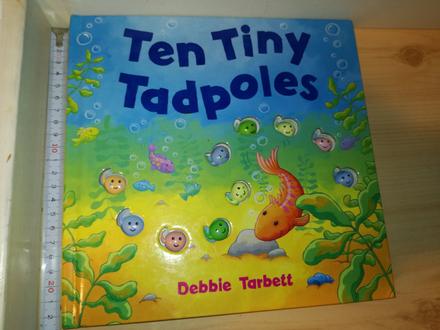 Ten tiny tadpoles, 