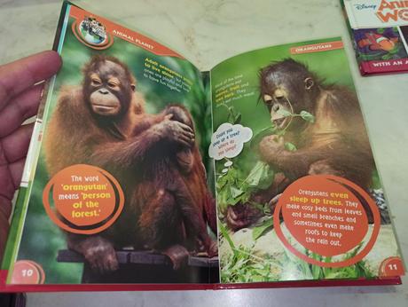 Disney - animal world,