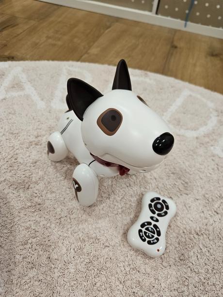 Robotický pes, 