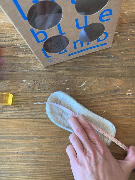 Little blue lamb cizmicky, little blue lamb,23