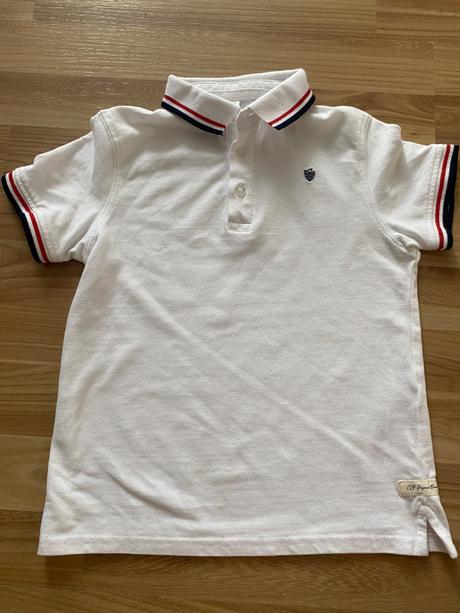 Polokosela calliope, calliope,116