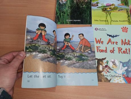 Colins big cat - reading lions level 1-3, 