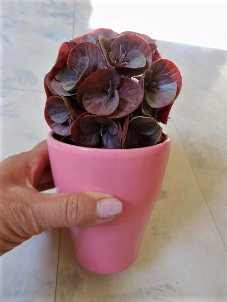 Dekorácia - kvet v črepníku, 