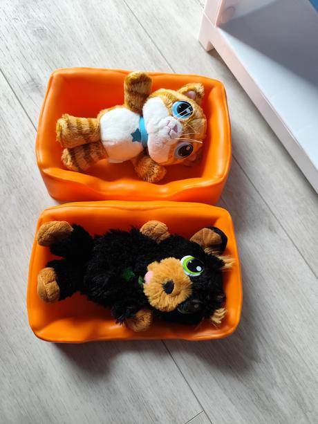 Veterinárna klinika, 