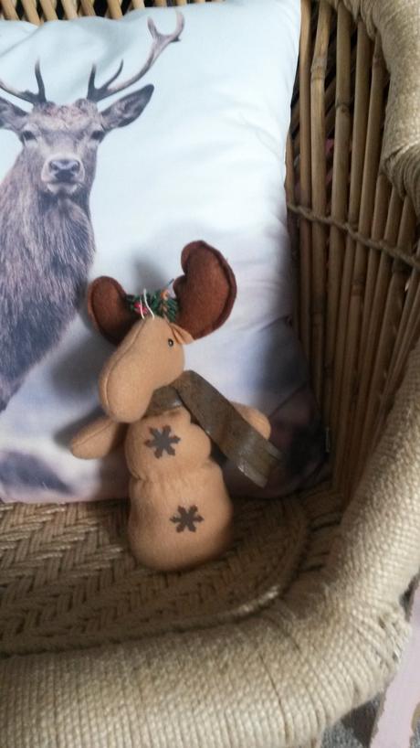 Vianočný sob (los),