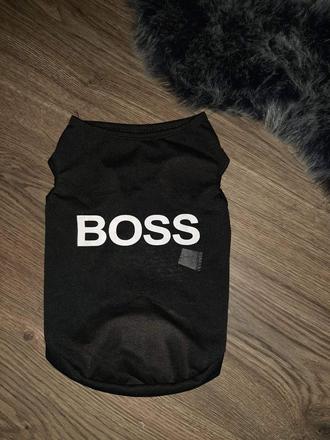 Oblecenie pre menšieho psika,