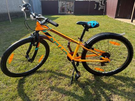 Bicykel kellys, kellys,24