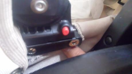 Kočik, tako,tako captiva mohican