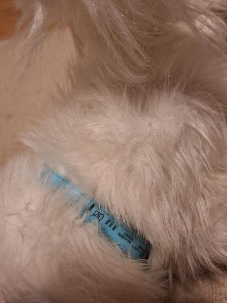 Pradúca,mňaukajúca,papajúca mačka, 