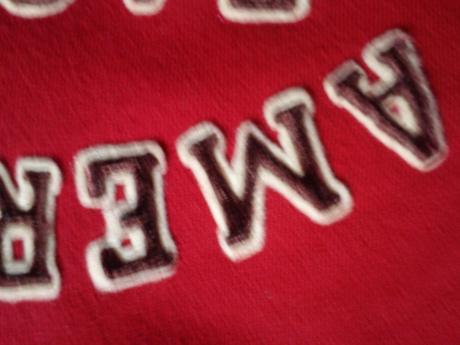 Mikina s kapucou a zlatymi aplikaciami, american eagle,s