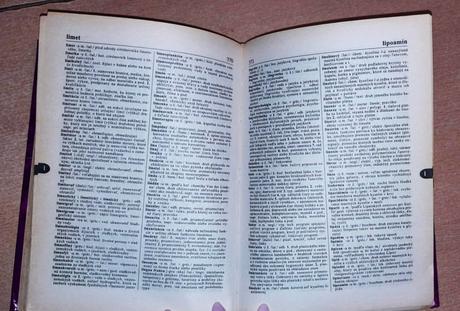 Predám slovník cudzích slov, 