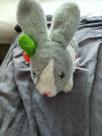 Interaktívny zajačik, 