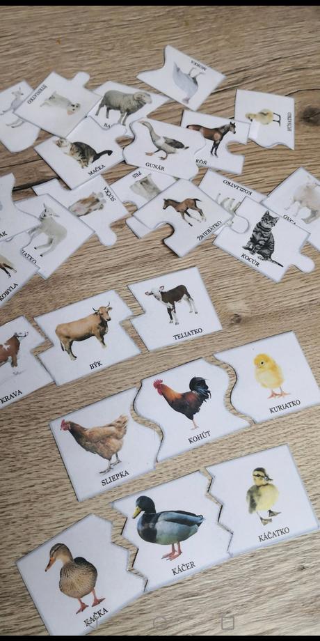 Puzzle zvieracie rodinky (pdf aktivita), 