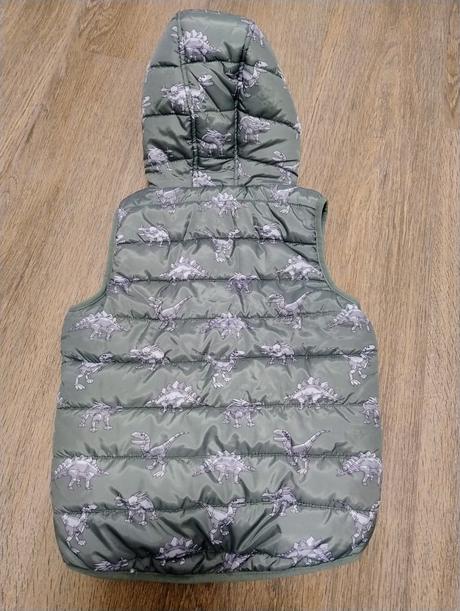 Vesta dinosaurus, 134