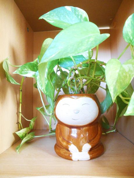 Keramický kvetináč, 