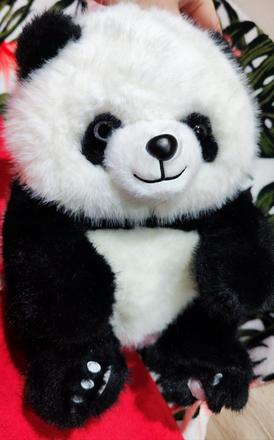 Väčšia plyšová panda, 