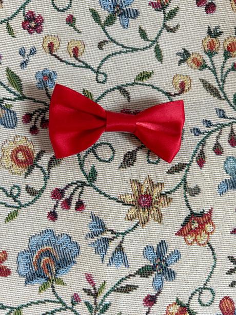 Mašlička do vlasov,