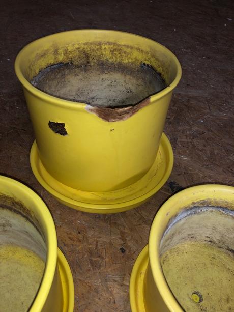 Črepniky žlté keramické, 