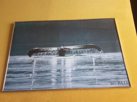 Veľký obraz veľryba chvost, 