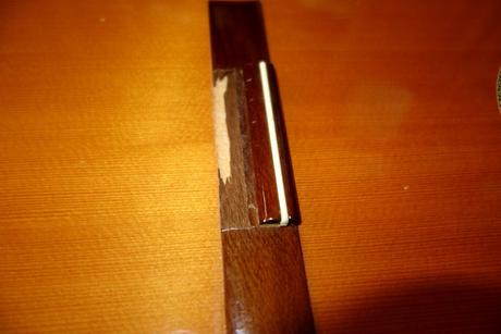 Darujem - utrhnutá kobylka, 