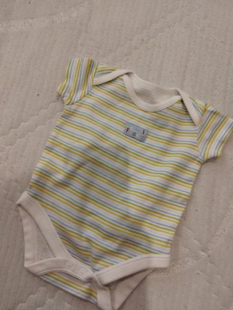 Body, st. bernard,50