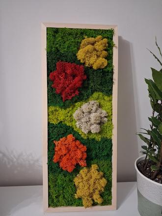 Machový obraz záhon, 