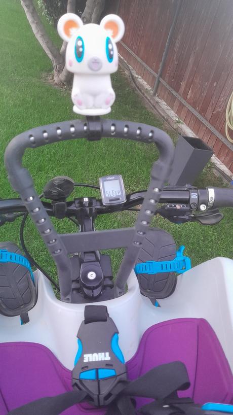 Cyklosedačka thule ridealong mini,