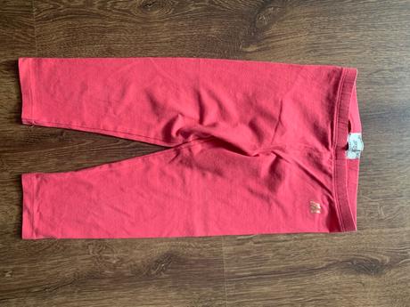 Leginky, mayoral,110