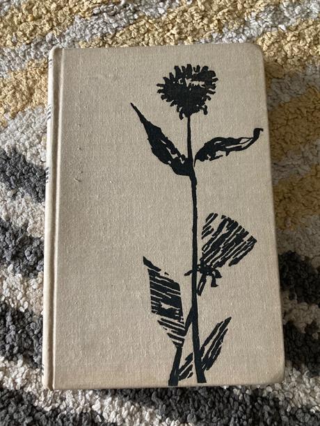 Alfonz bednár sklený vrch (1963), 