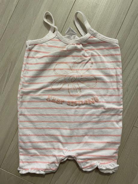 Opalovačky pásikavé, 62