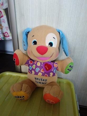 Psík,