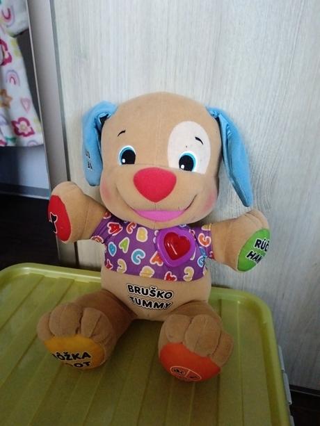 Psík, 