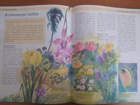 Stručná detská encyklopédia prírody (1992), 