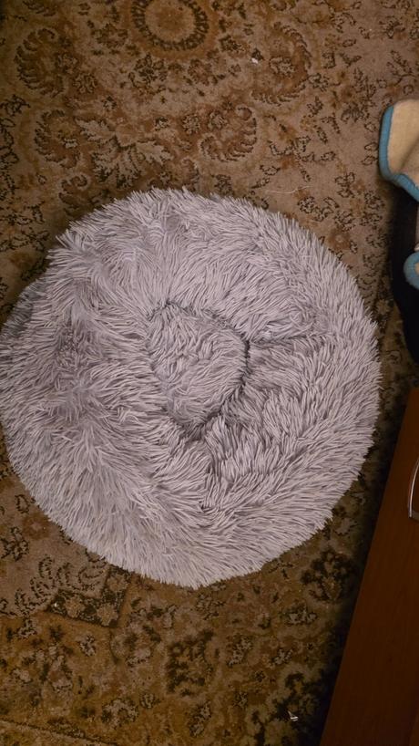 Pelech macka pes do8kg, 