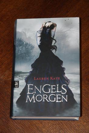 Lauren kate- engels morgen - v nemcine,