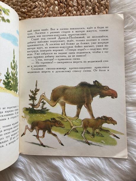 Ako borovica zachránila losíčatá s.afoňšin (1978),