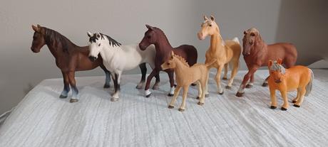 Schleich kone, 