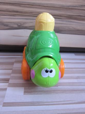 Chodiaca korytnačka zs., 