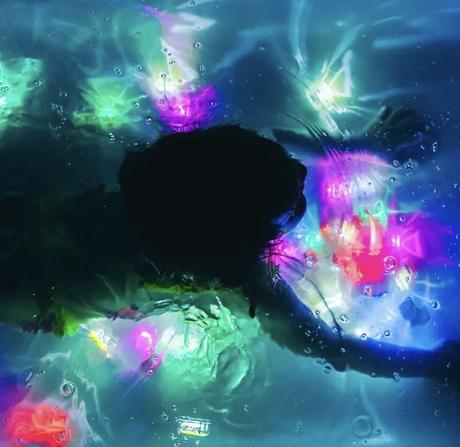 Senzorické svietiace kocky vo vode viacfarebné, 