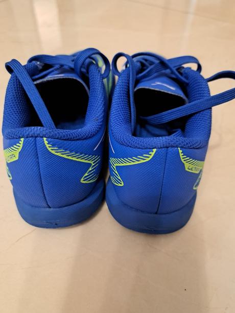 Halovky puma, puma,29
